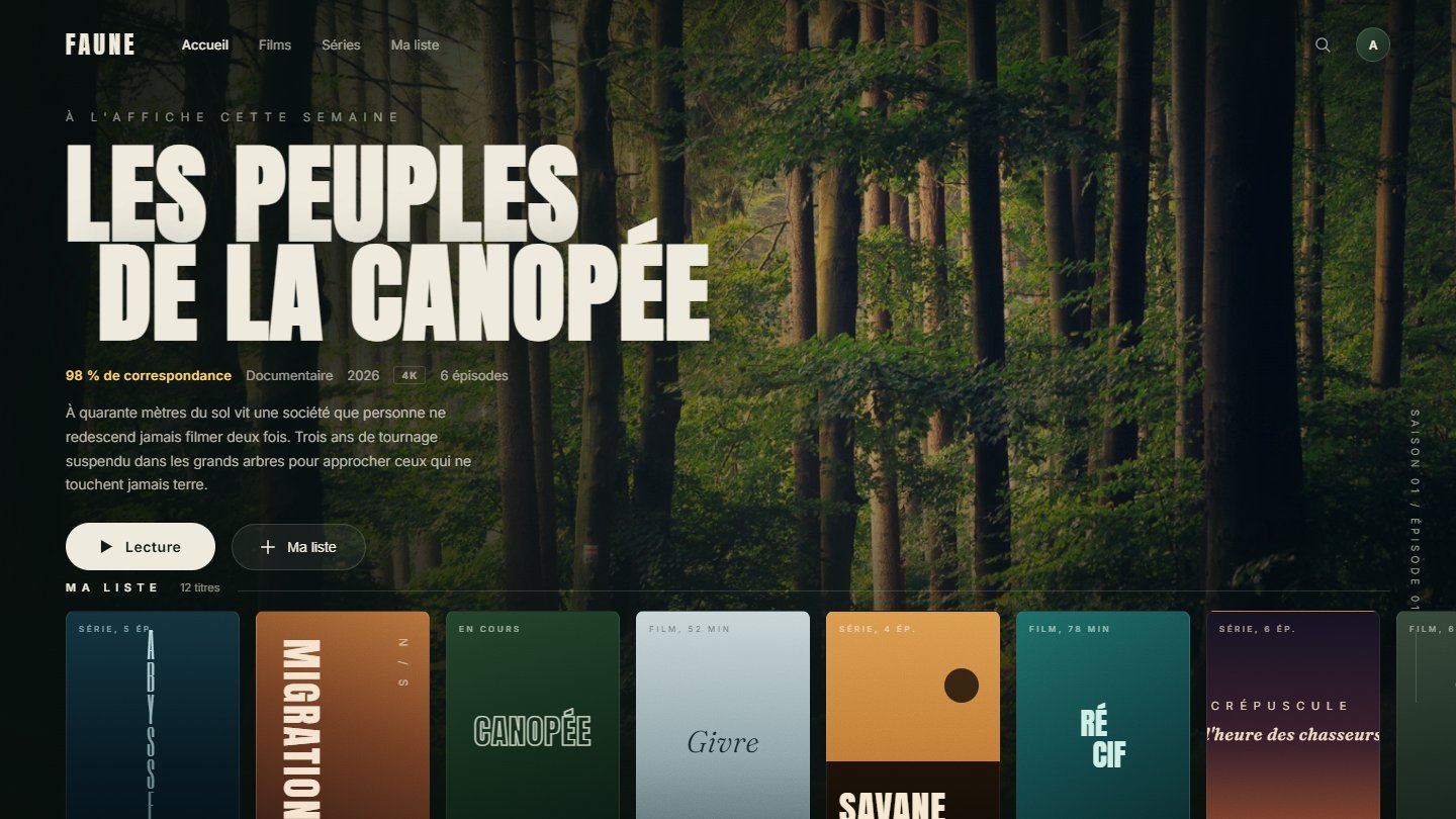Aperçu de la démo FAUNE, thème Streaming